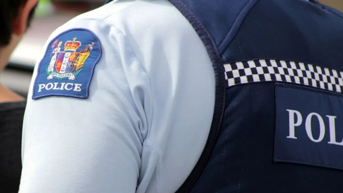 Police looking for man ‘approaching’ young children in Wellington