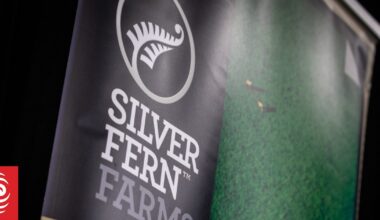 Major meat firm Silver Fern Farms halts Middle East exports; returns to profit