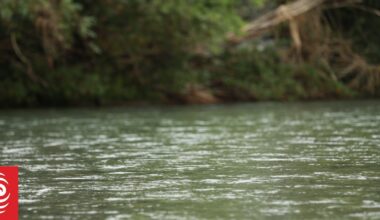Whakatāne puppy drowning video streamed to social media