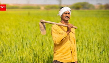 6 desi foods farmers eat and drink to survive extreme heat in the field