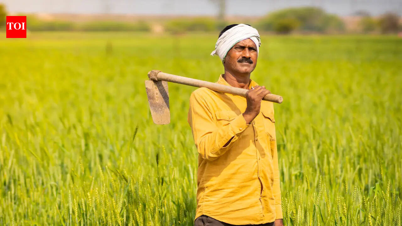 6 desi foods farmers eat and drink to survive extreme heat in the field