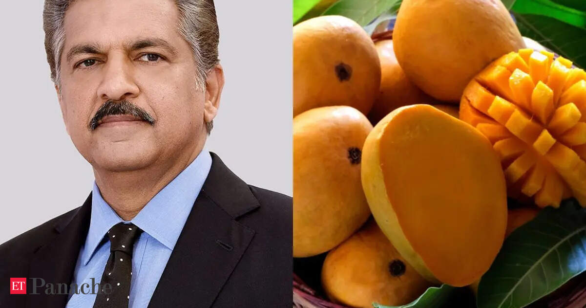 What if mango season never ends? Anand Mahindra offers support for Kota farmer’s fruit experiment. 'This is true entrepreneurship'