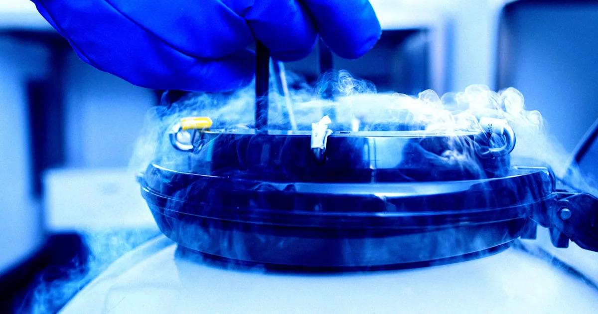 Scientists Bring Mouse Brains Back to Life After “Cryosleep” Deep Freeze