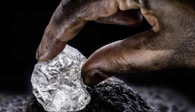 Zimbabwe clarifies why it rushed to ban the exportation of some of its most critical minerals