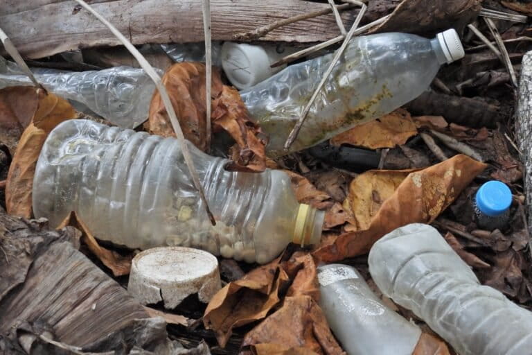 A plastic bottle with a hermit crab trapped inside, spotted on Trinket Island. The bottle orientation makes it possible for the hermit crabs to enter easily but exit becomes impossible due to the slippery inner surface and incline. Image by Mayur Fulmali.