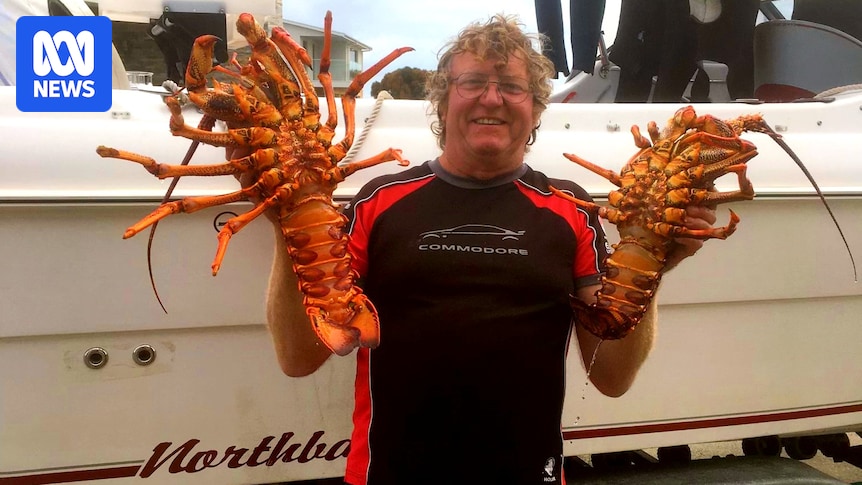 Amateur lobster fisher escapes attack by 3.5m great white shark off Cape Jaffa