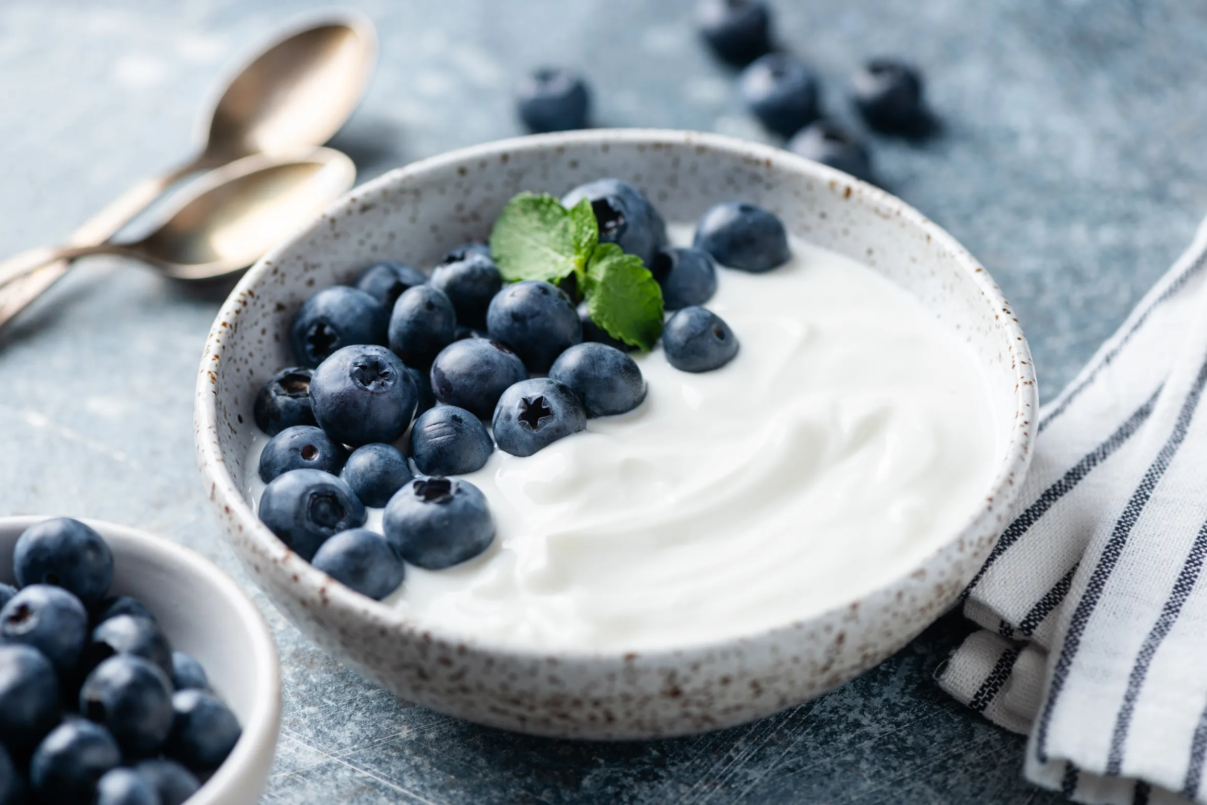 Greek yogurt bowl with blueberries.