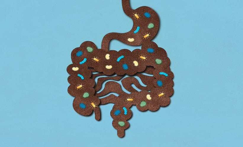 Faecal Microbiota Transplantation Improves Outcomes in Depression - EMJ