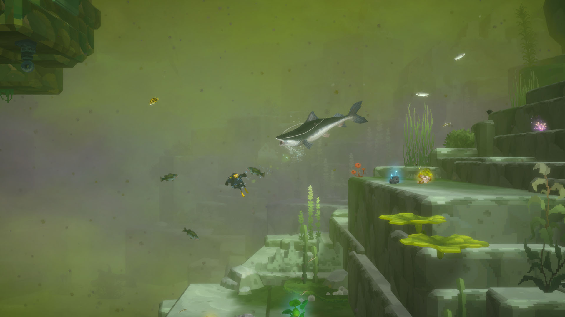 Dave the Diver Jungle DLC