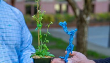 In center, a pot plant held by a person in a light blue shirt, and a blue plastic model held by someone in a dark blue shirt. Faces are not visible.
