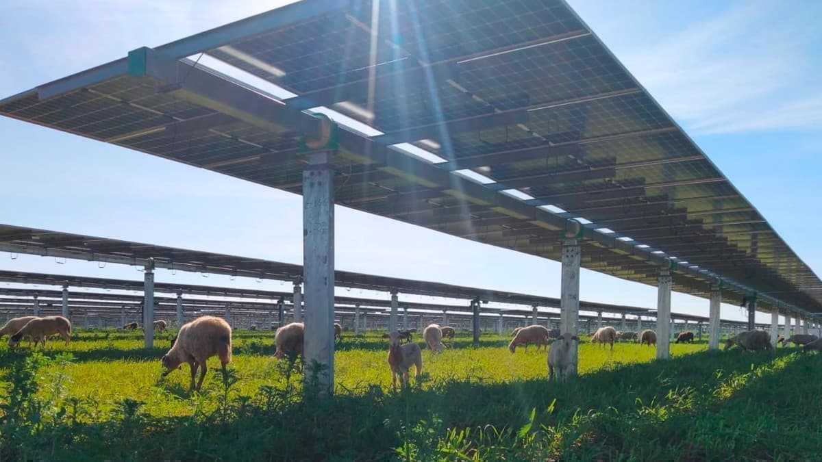 Middle East War Reignites the Energy Transition