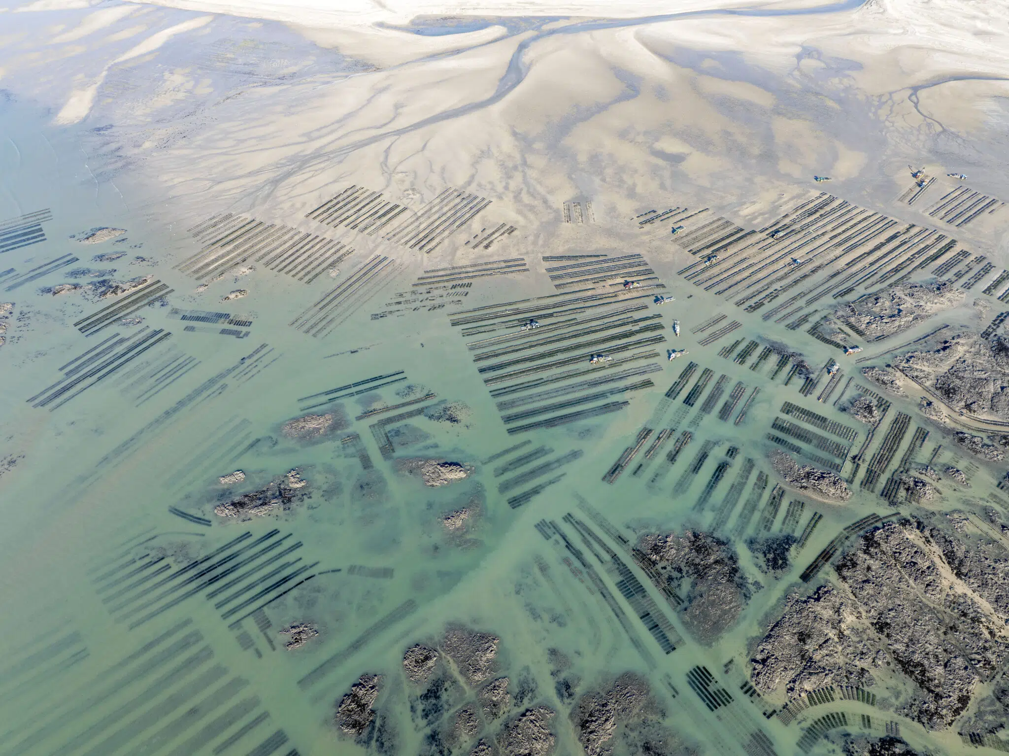 This series of abstract landscapes depicts oyster farming on the French coast of Normandy and Brittany, where the farms stretch along the entire coastline, shaping the character of the landscape.