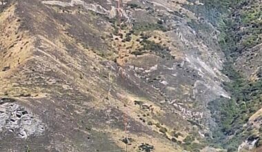 Fire crews battle Arrowtown vegetation blaze