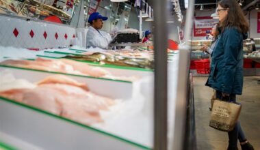 Hidden hunger: As food ‘noise’ fades, the body still craves nutrients