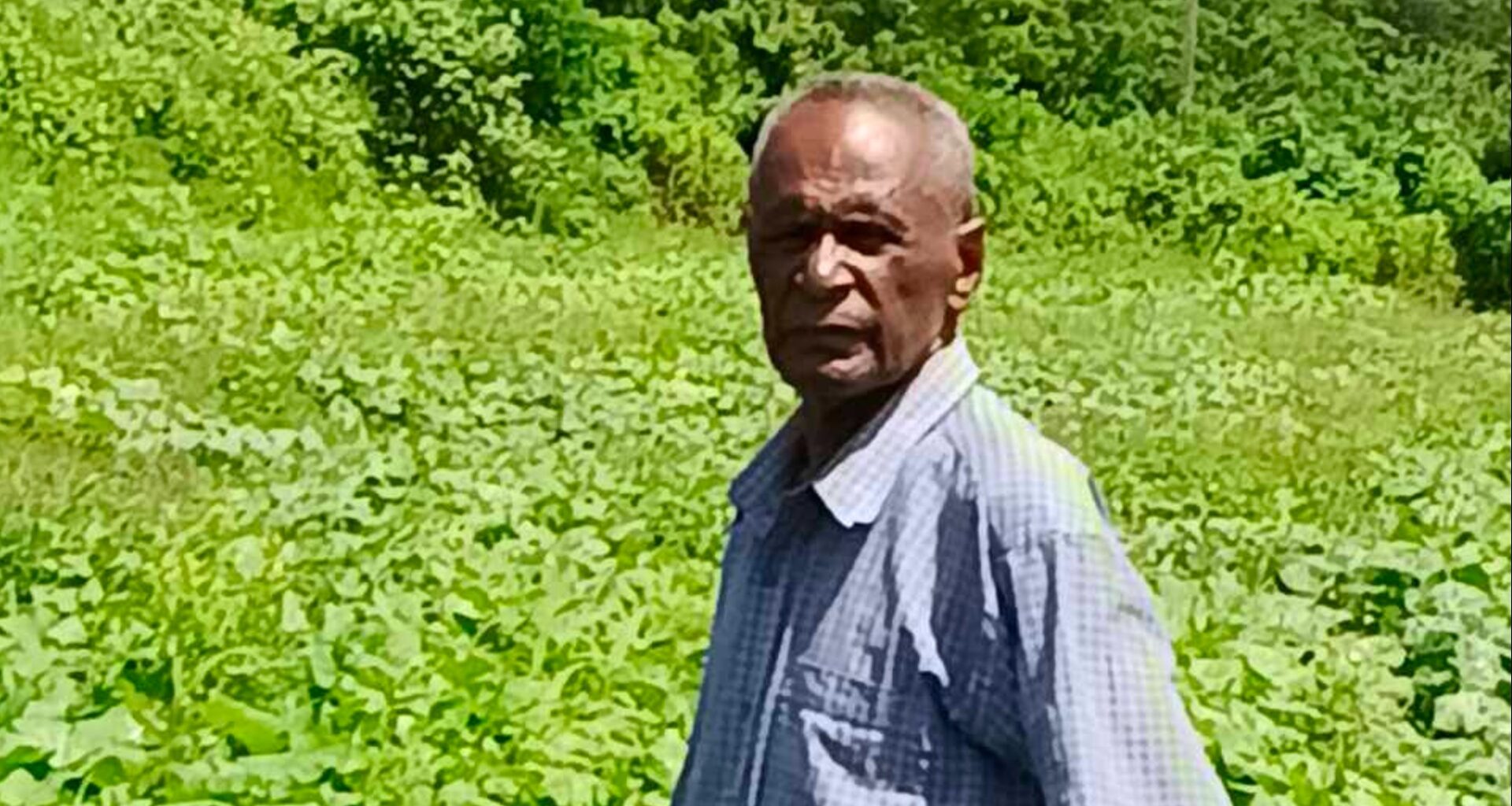 65-year-old Sigatoka farmer earns over $200,000 through agriculture success