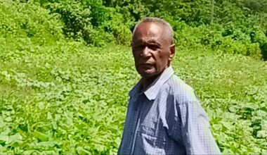 65-year-old Sigatoka farmer earns over $200,000 through agriculture success