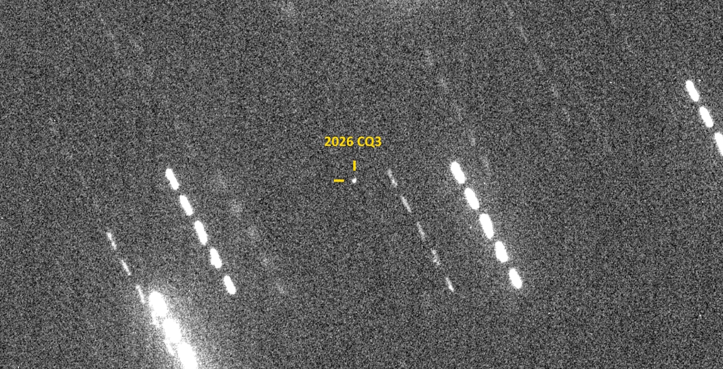 Asteroid 2026 CQ3. Credit: Filipp Romanov/The Liverpool Telescope.
