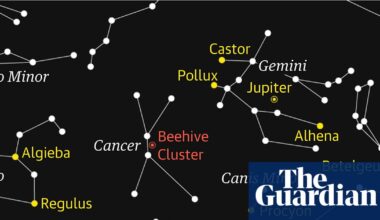 Starwatch: patience is needed to observe Cancer’s beehive cluster | Astronomy