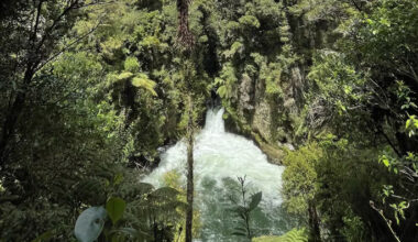 SunLive - BOP rafting death: Coroner releases findings