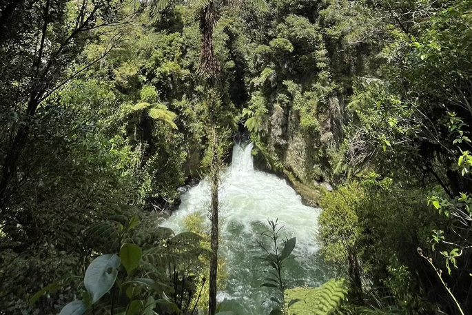 SunLive - BOP rafting death: Coroner releases findings