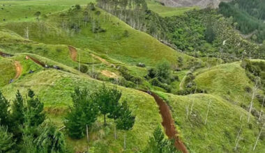 SunLive - Trail ride postponed after rider dies in crash