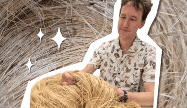 Could harakeke be the key to removing ‘forever chemicals’ from our water?