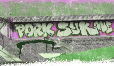 Who are New Zealand’s prolific taggers?