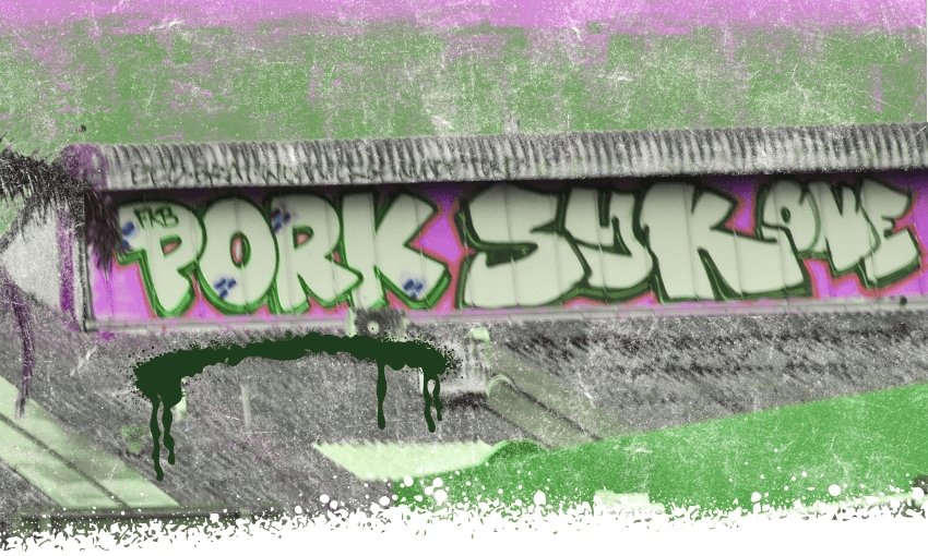 Who are New Zealand’s prolific taggers?