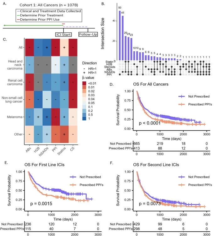 Impact of Proton Pump Inhibitors on Immune Checkpoint Inhibitor Efficacy: Clinical, Microbiome, and Immune Correlates 3 proton pump inhibitors