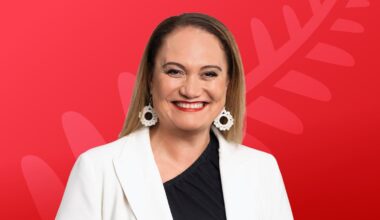 Auckland jobs, housing and transport need long-term government plan - Carmel Sepuloni