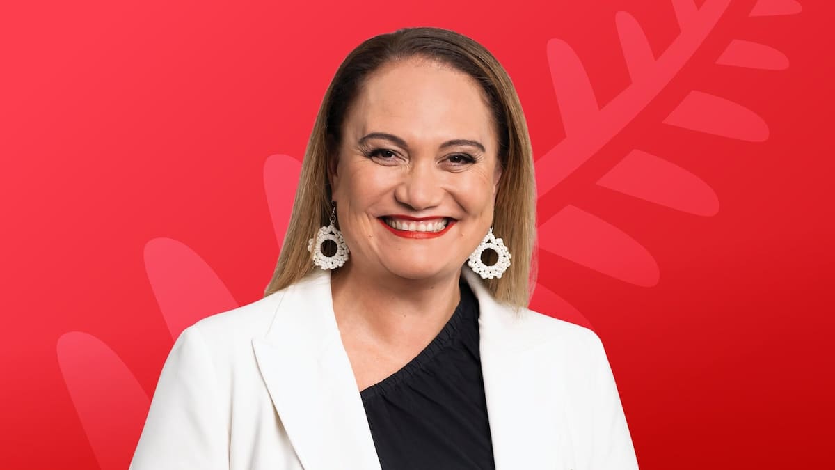 Auckland jobs, housing and transport need long-term government plan - Carmel Sepuloni