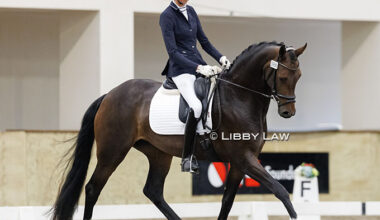 Rokeby La Belle, Kismaayu Dahlia, Regal Lord Win 2026 New Zealand Young Horse Championships