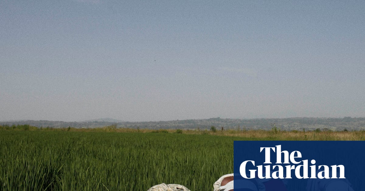 Tech firms and AI farming tools ‘playing with the food system’, warns thinktank | Global development