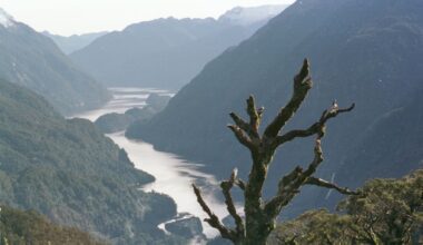 Police dive squad searching for missing Southland boatie in Lake Manapōuri