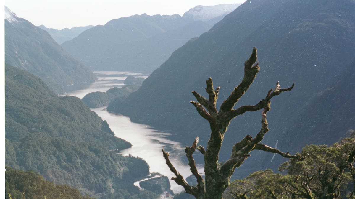 Police dive squad searching for missing Southland boatie in Lake Manapōuri