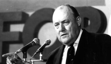 Carless days are no solution to an oil shock – Liam Dann