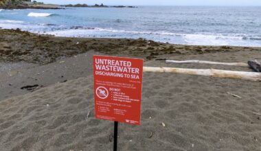 Moa Point wastewater plant replacement equipment not yet ordered, Wellington Water says