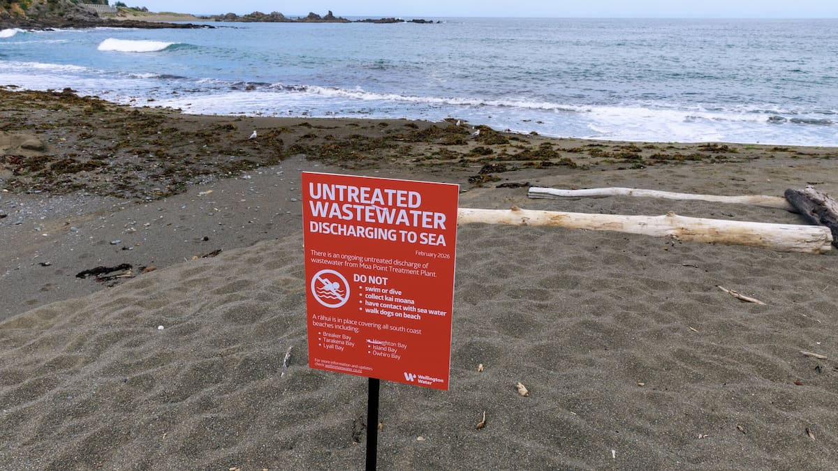 Moa Point wastewater plant replacement equipment not yet ordered, Wellington Water says