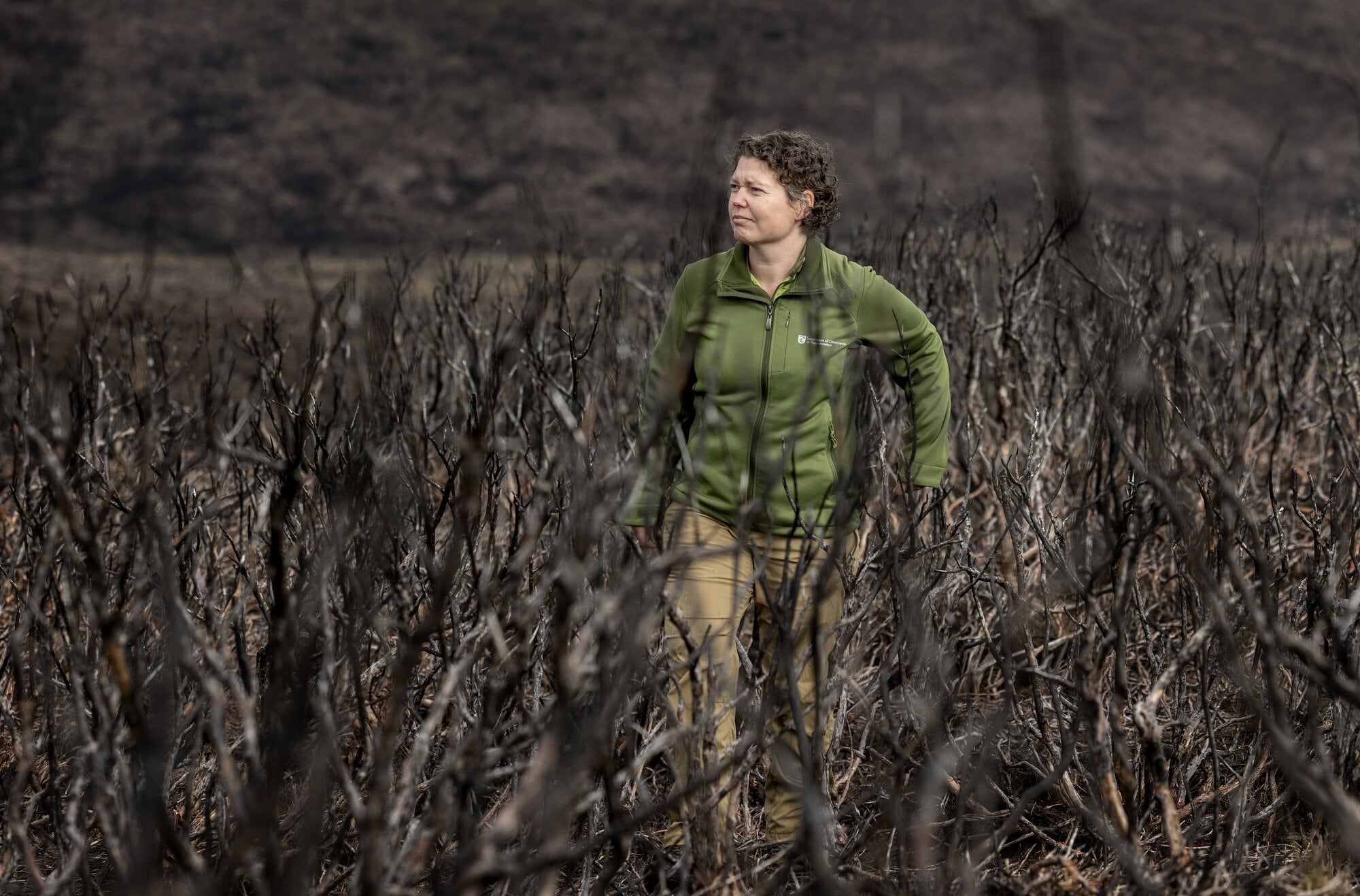 DoC ecologist Jess Scrimgeour assesses the charred landscape. Despite the destruction wrought by last year's fires, regrowth is underway. Photo / Mike Scott