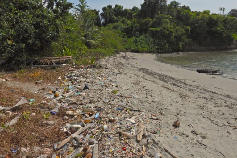 Marine litter collected at the hightide line along Vikas Nagar beach on Kamorta Island. At night, hermit crabs march towards the sea to replenish their water requirements and while crossing the hightide line they must cross the marine debris, elevating chances of entrapment. Image by Mayur Fulmali.