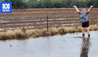 Best rain in six months a relief for drought-hit southern NSW farmers