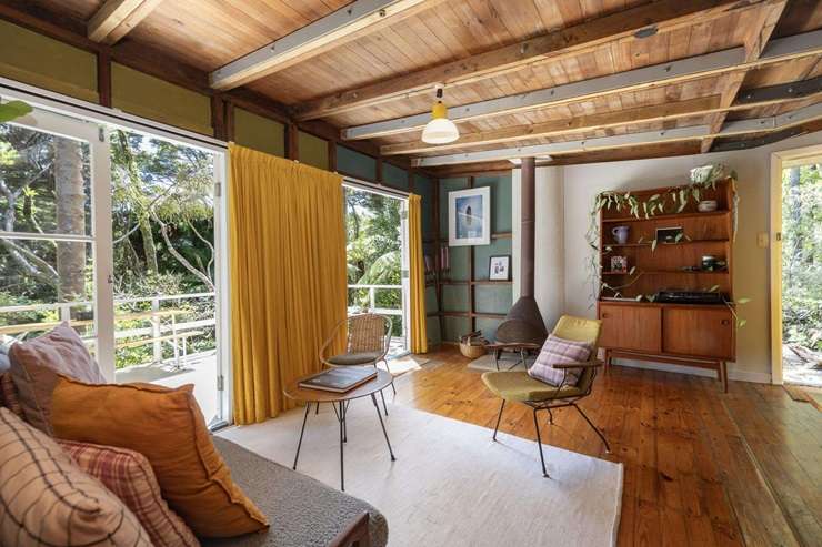 Film-maker Brendan Donovan is selling 101-103 Lone Kauri Road, in Auckland's Karekare. It used to belong to Kiwi literary great Allen Curnow. Photo / Supplied
