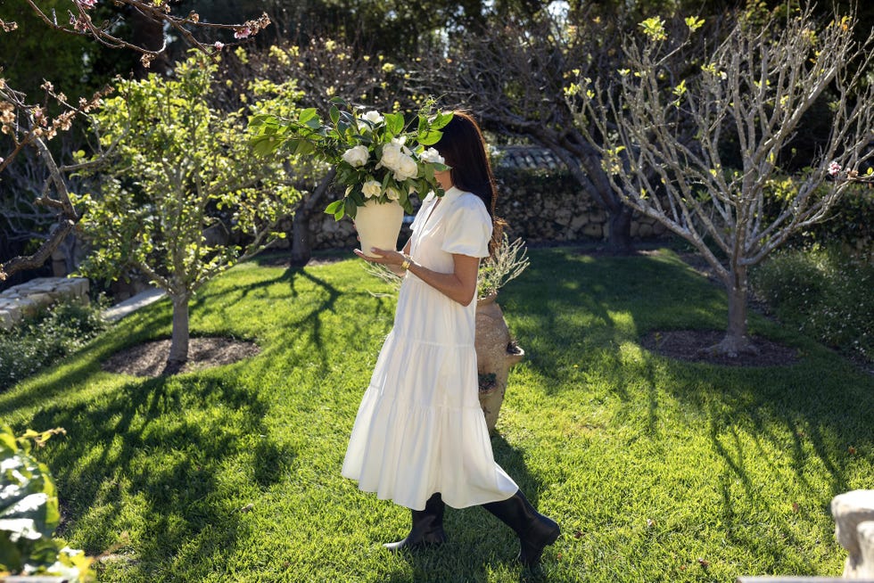 as ever x high camp supply