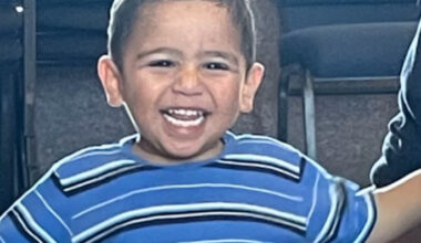 SunLive - Katikati dog attack: Two charged after boy's death