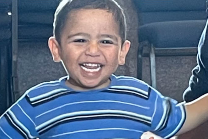 SunLive - Katikati dog attack: Two charged after boy's death