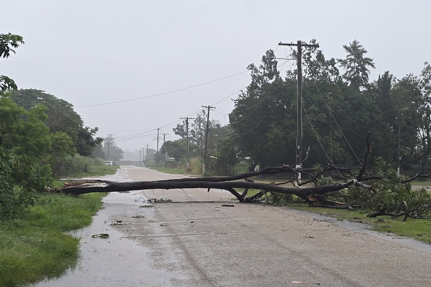 A tree blocks off access to a road in a Queensland town.