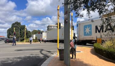 Hastings: Oncoming train makes emergency stop as woman falls onto tracks