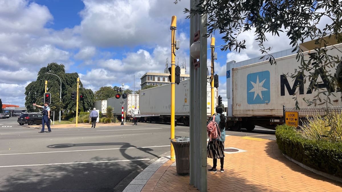 Hastings: Oncoming train makes emergency stop as woman falls onto tracks