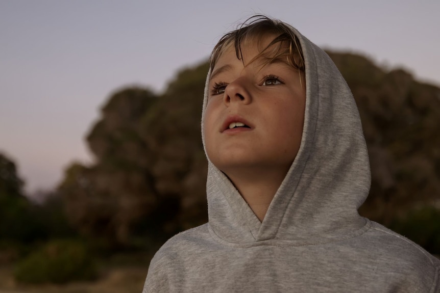 A boy in a hoodie looks up at the in twilight. 