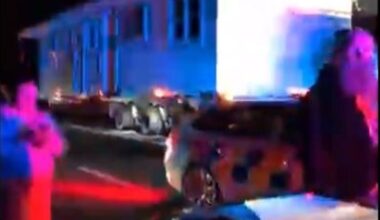 Stolen car chased from Auckland to Waikato: Police taser driver, seize guns